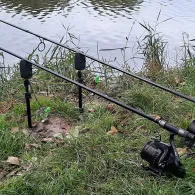 Mühlteich (Zöschau)-4