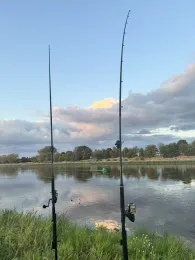 Elbe (Riesa)-2