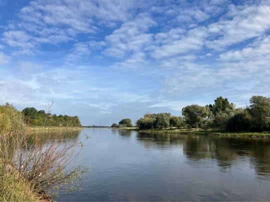 Elbe (Riesa)-1