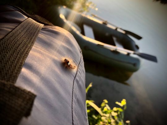Südsee (Büchelkühn)-2