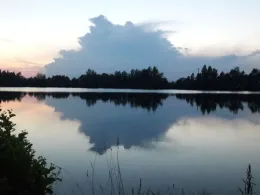 Südsee (Büchelkühn)-3