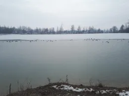 Weiher II, Birkenstraße (Niederneuching)