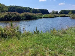 Wörnitz (Reichenbach)-1