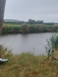 Wörnitz (Reichenbach)