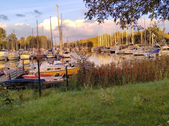 Hooksmeer (Hooksieler Binnentief)-3