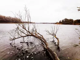 Hooksmeer (Hooksieler Binnentief)-4