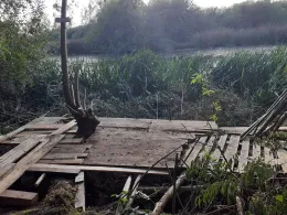 Torfmoor (Steinhausen)