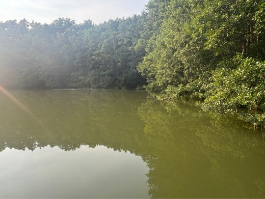 Lellichowsee (Herzsprung)-4