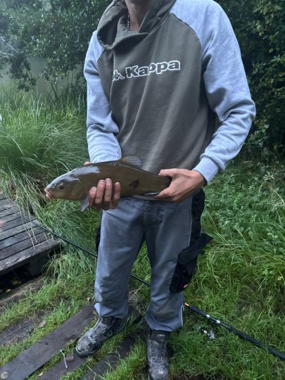 Lellichowsee (Herzsprung)-3