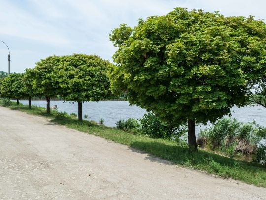 Lacul Comsomolist (Fălești)-1