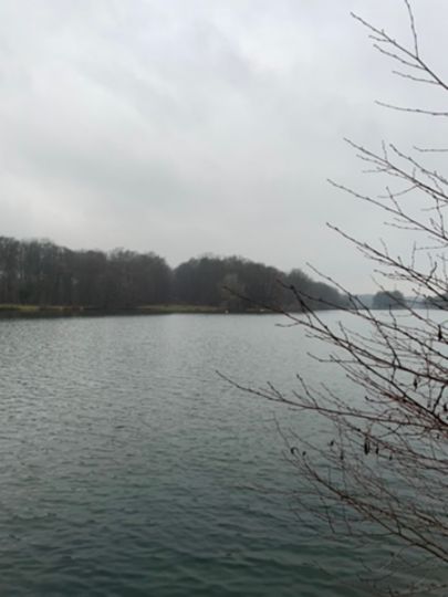 Decksteiner Weiher-1