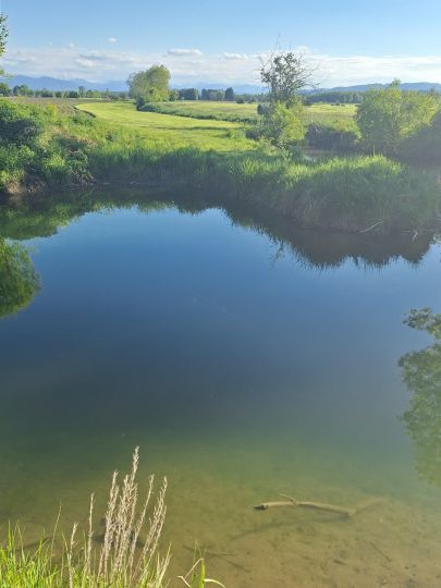 Altwasser Unterhausen-3