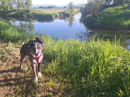 Altwasser Unterhausen-2