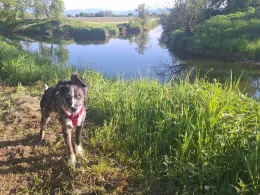 Altwasser Unterhausen-2