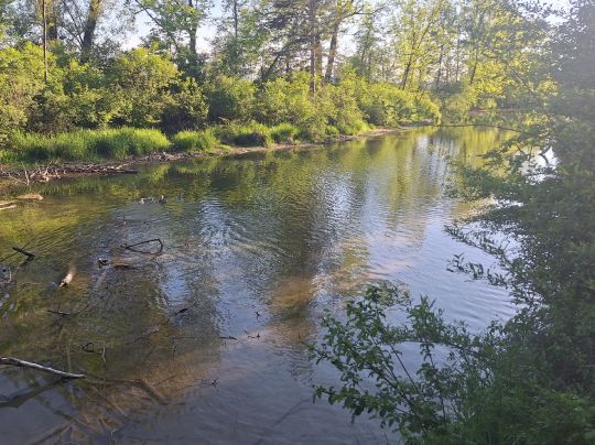 Altwasser Unterhausen-1