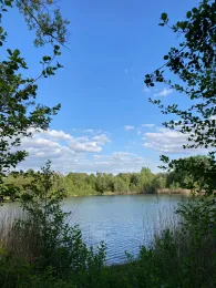 Gänsweidsee (Klein-Gerau)-3