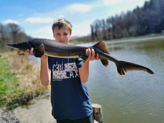 Angelpark Klosterteiche Paulinzella-4