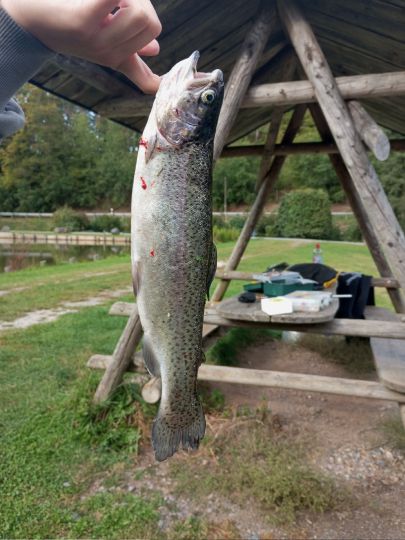 Angelpark Klosterteiche Paulinzella-2