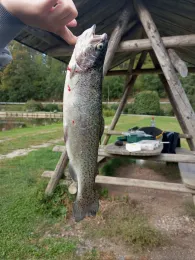 Angelpark Klosterteiche Paulinzella-2