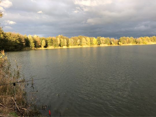 Kiesgrube Saalsdorf-4