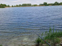 Kiesgrube Saalsdorf-2