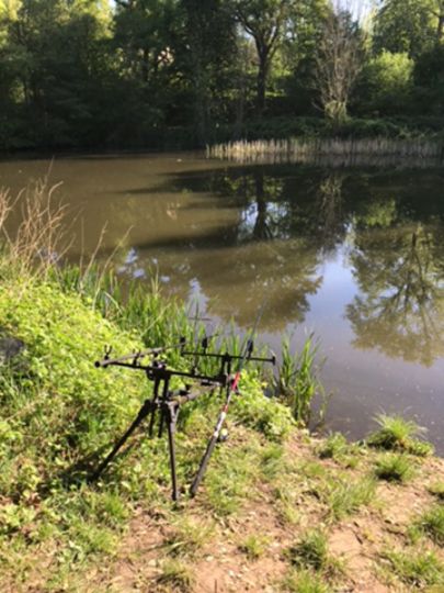 Dienstadter Weiher-1