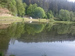 Weiher Trittscheid-0