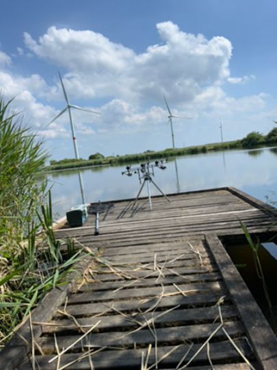 Finkhauswehle (Husum)-2