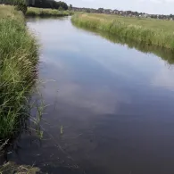 Finkhauswehle (Husum)-1