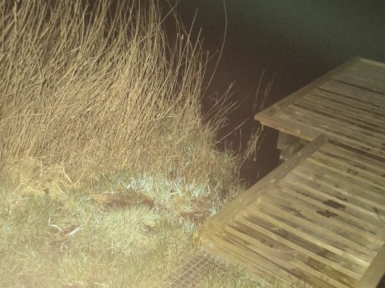 Finkhauswehle (Husum)-4