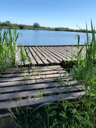 Finkhauswehle (Husum)