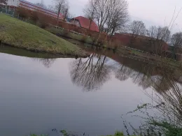 Sundermannteich (Heek)-1