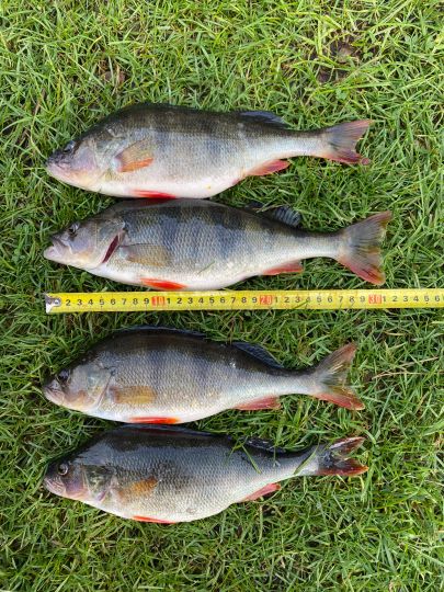 Sacrow-Paretzer Kanal-4