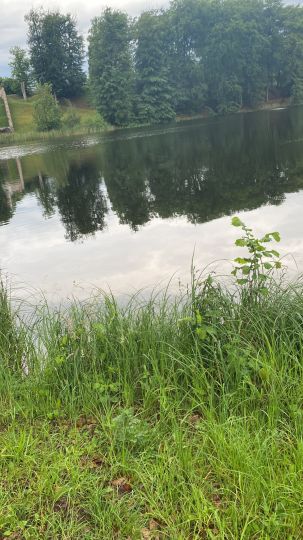 Huwenowsee (Meseberg)-4