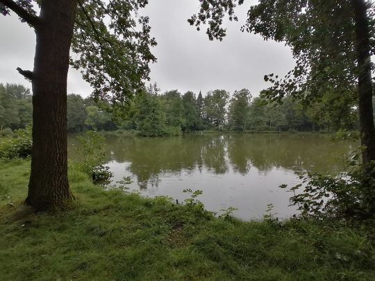 Rasenteich (Ohrdruf)-1