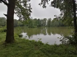 Rasenteich (Ohrdruf)-1