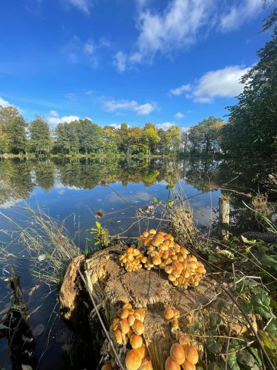 Rasenteich (Ohrdruf)-4