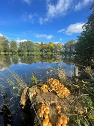 Rasenteich (Ohrdruf)-4