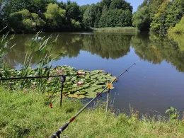 Pfarrbuschteich (Deutschenbora)