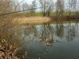 Pfarrbuschteich (Deutschenbora)-2