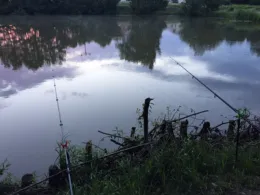 Pfarrbuschteich (Deutschenbora)-3