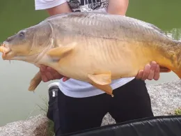 Kocher (Schwäbisch Hall)-1