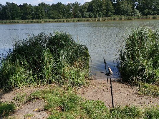 Falkenhagener See ALLE ANGELN