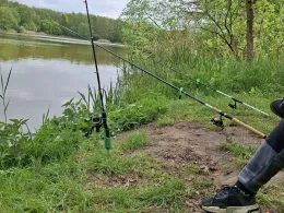 Karpfenteich (Groß Pankow)-4