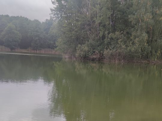 Karpfenteich (Groß Pankow)-3