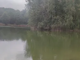 Karpfenteich (Groß Pankow)-3