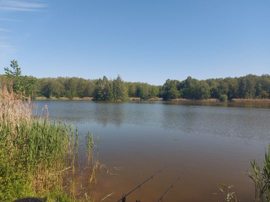 Karpfenteich (Groß Pankow)-1