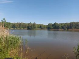 Karpfenteich (Groß Pankow)-1