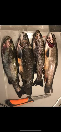 Forellenpark Quellental-4