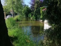 Mindel (Mindelheim)-1